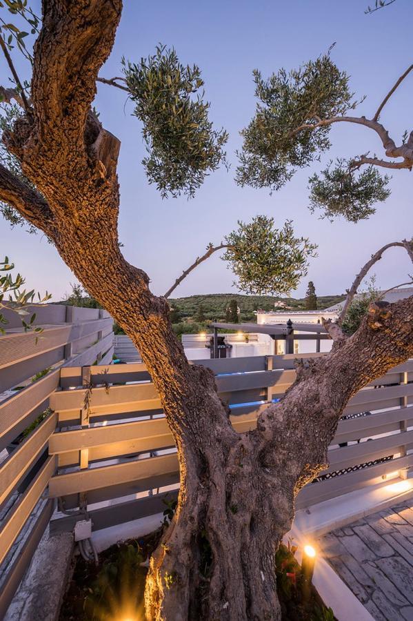 B&M Villas Metochi Siriliou エクステリア 写真